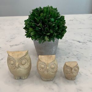 Set of Rustic Owl Decor